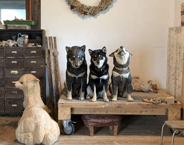 《模仿雕刻的柴犬》跟主人的雕刻作品相處久了，結果就不小心被同化了...ww