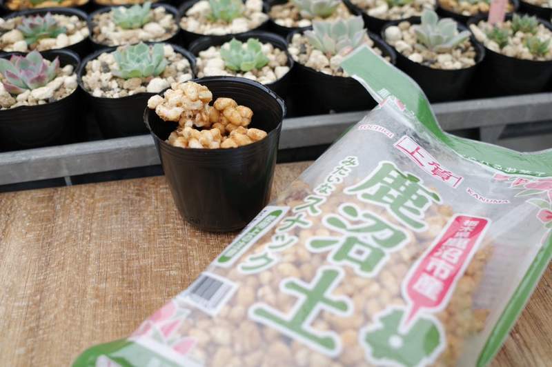 圖片6 誤食注意《可以吃的園藝用土》外型激似鹿沼土的零食,人生第一次這麼想吃土ww | 宅宅新聞