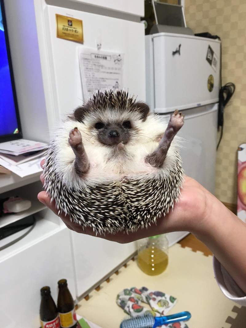 圖片2 圖片2