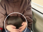 《帶貓去看醫生的結果》原本應該可愛的毛孩畫面,竟變成雙手抱著人頭的恐怖構圖... 《帶貓去看醫生的結果》原本應該可愛的毛孩畫面,竟變成雙手抱著人頭的恐怖構圖...