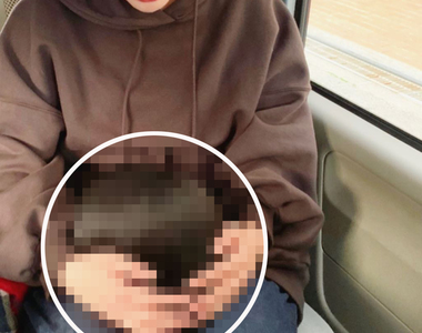 《帶貓去看醫生的結果》原本應該可愛的毛孩畫面，竟變成雙手抱著人頭的恐怖構圖...