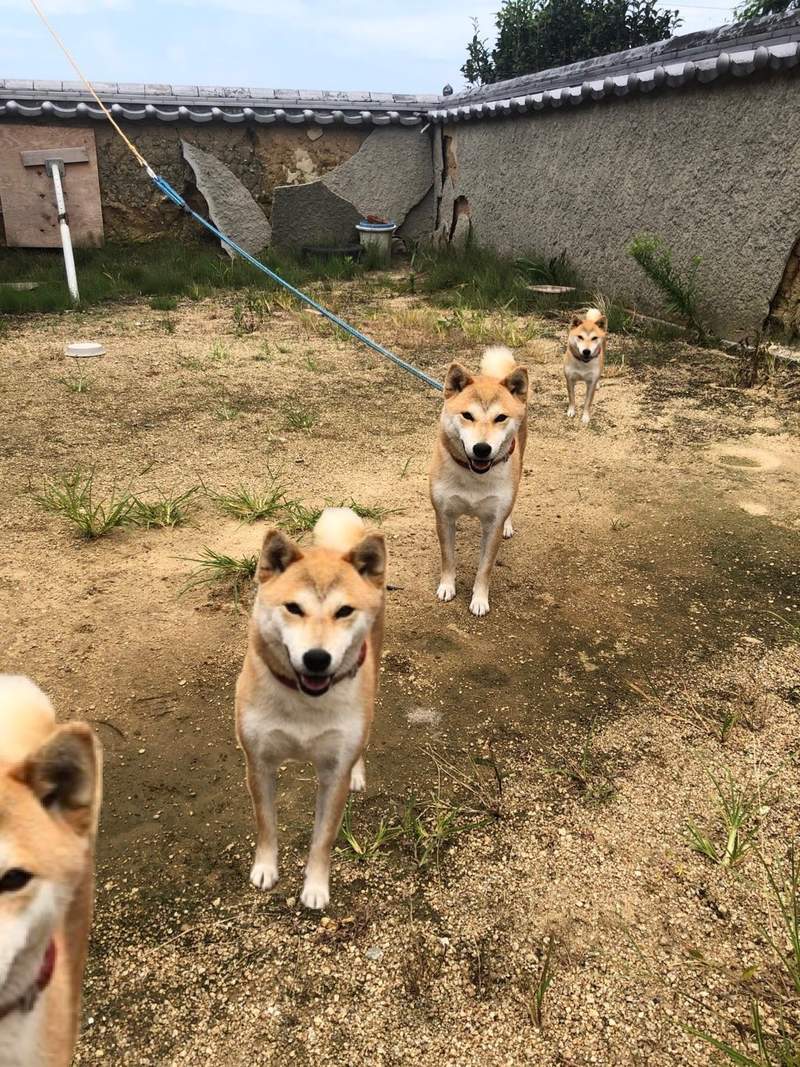 圖片5 圖片5