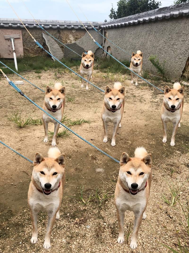 圖片6 圖片6