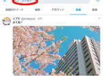 《推特搜尋櫻花照的另類方法》關鍵字改用「很棒吧?」竟然比「櫻」搜出更多圖片!? 《推特搜尋櫻花照的另類方法》關鍵字改用「很棒吧?」竟然比「櫻」搜出更多圖片!?