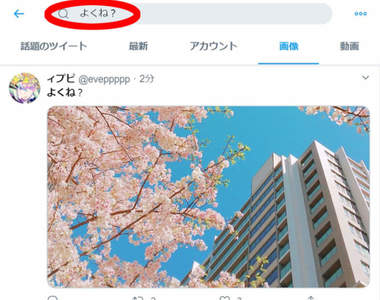 《推特搜尋櫻花照的另類方法》關鍵字改用「很棒吧?」竟然比「櫻」搜出更多圖片!?