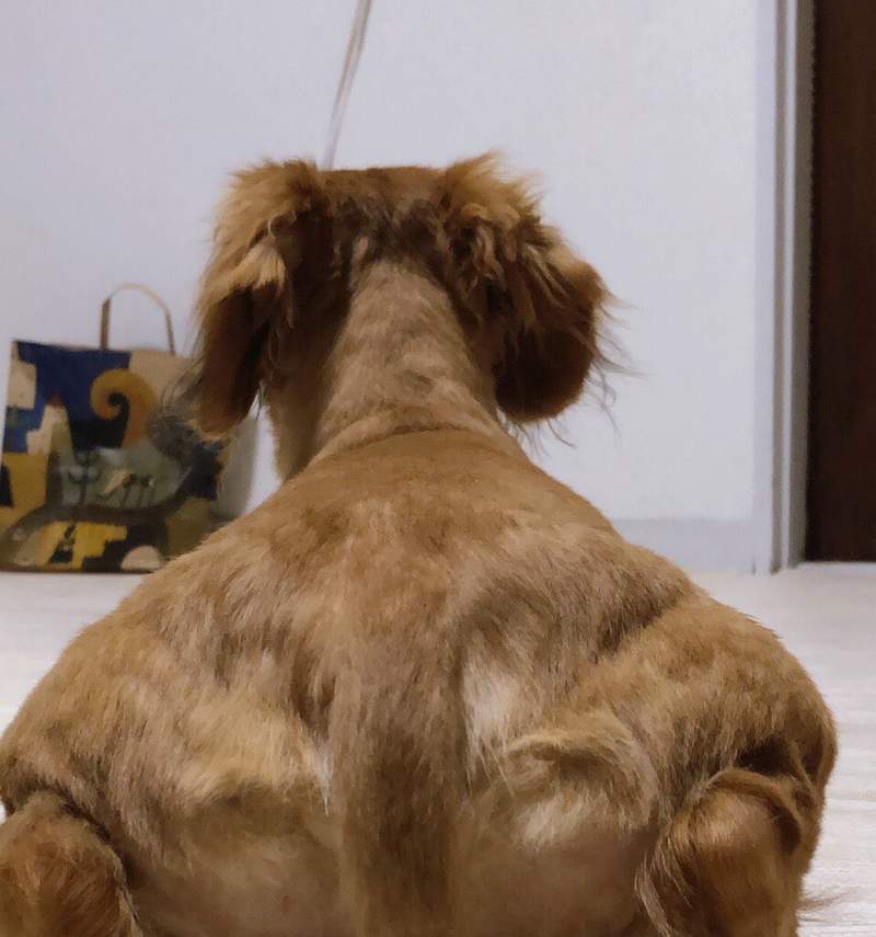 圖片2 圖片2
