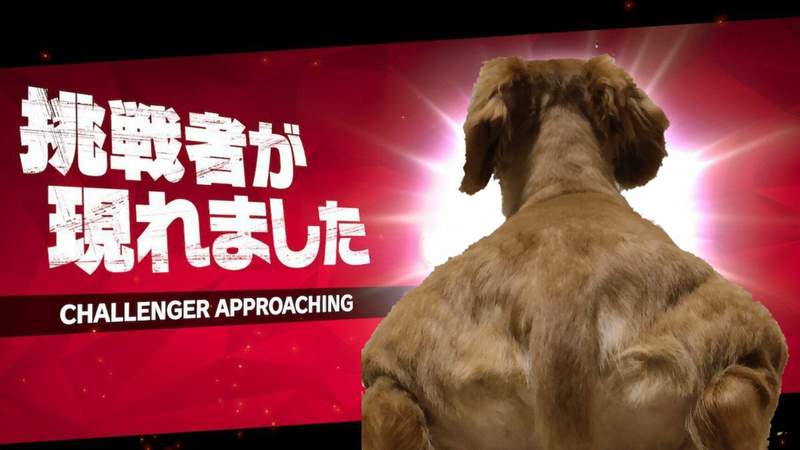 圖片3 圖片3