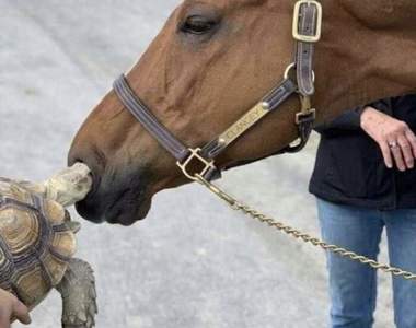 搞笑動圖《看上去很厲害的一瞬間》原本想跟你打聲招呼但眼前怎麼一片黑