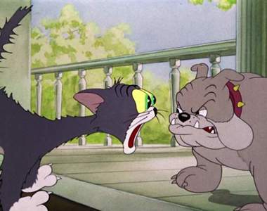 網友傻眼《野貓注意告示牌》這裡會有襲擊狗狗的貓，等等~我沒看錯吧(汗)