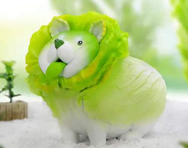 實體化動物野菜《白菜柴犬》超可愛模型讓人忍不住收集一組回家放