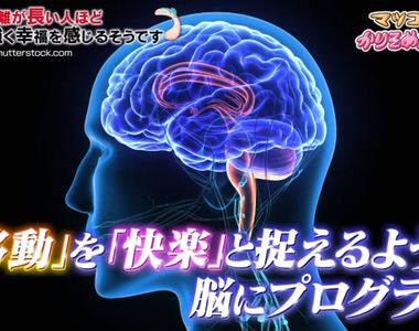 《人腦覺得移動越遠越快樂》真的所有人都是這樣嗎？有吉弘行吐槽搭便車旅遊只有痛苦而已