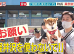 《不在輕井澤就別叫輕井澤》町長痛批濫用地名減損價值 觀光客經常跑錯地方怨聲載道 《不在輕井澤就別叫輕井澤》町長痛批濫用地名減損價值 觀光客經常跑錯地方怨聲載道