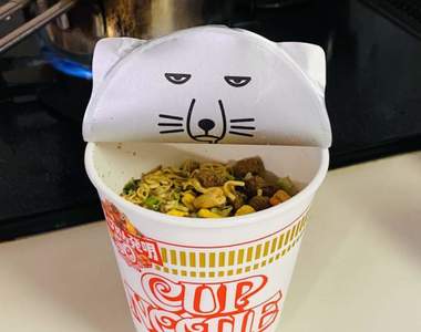 日清杯麵《貓耳杯蓋》以為是可愛貓咪結果打開看到藏狐WTF