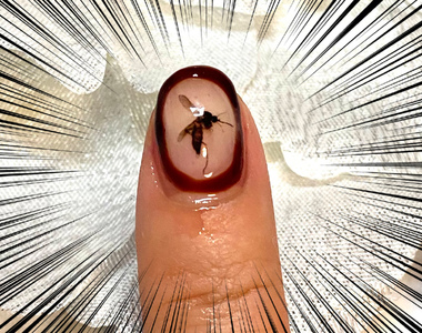 電影梗重現《侏儸紀公園指甲彩繪》有妹子把吸血的蚊子封印在指甲裡