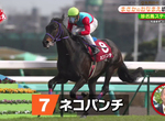 《日本賽馬奇葩名字大全》貓咪拳?歐吉桑?馬主愛取怪名讓播報員和審查員傷透腦筋 《日本賽馬奇葩名字大全》貓咪拳?歐吉桑?馬主愛取怪名讓播報員和審查員傷透腦筋
