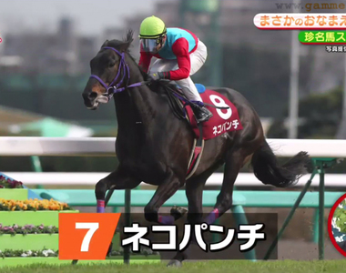 《日本賽馬奇葩名字大全》貓咪拳?歐吉桑?馬主愛取怪名讓播報員和審查員傷透腦筋