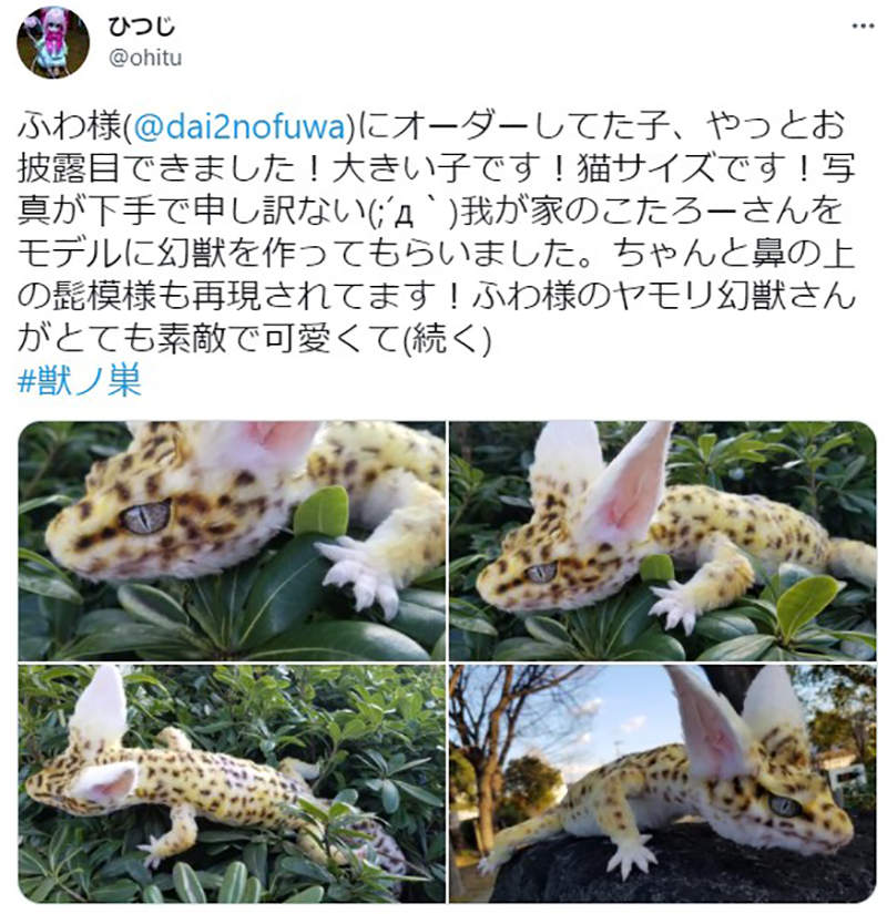 《鳥頭鼠身的謎樣生物》日本網友飼養異世界寵物嚇壞眾人 竟然是栩栩如生的幻想動物 | 宅宅新聞