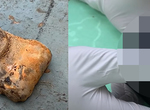 妙手回春!《Restoration》甚麼都可以修,晶片荒咱們不怕,動手DIY把廢物翻新再使用! 妙手回春!《Restoration》甚麼都可以修,晶片荒咱們不怕,動手DIY把廢物翻新再使用!