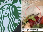 好噁~《蜈蚣在沙拉上蠕動》 韓國星巴克回應令顧客傻眼⊙▂⊙ 「外帶食安出問題」就該消費者自行負責嗎? 好噁~《蜈蚣在沙拉上蠕動》 韓國星巴克回應令顧客傻眼⊙▂⊙ 「外帶食安出問題」就該消費者自行負責嗎?