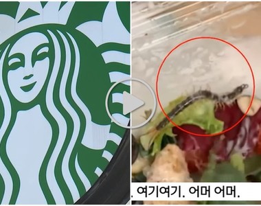 好噁~《蜈蚣在沙拉上蠕動》 韓國星巴克回應令顧客傻眼⊙▂⊙ 「外帶食安出問題」就該消費者自行負責嗎?
