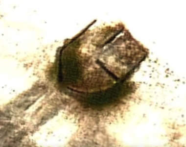 【有片】斯塔巴克島上《墜落的UFO》這是不明外星痕跡還是美國隊長丟出來的盾牌？