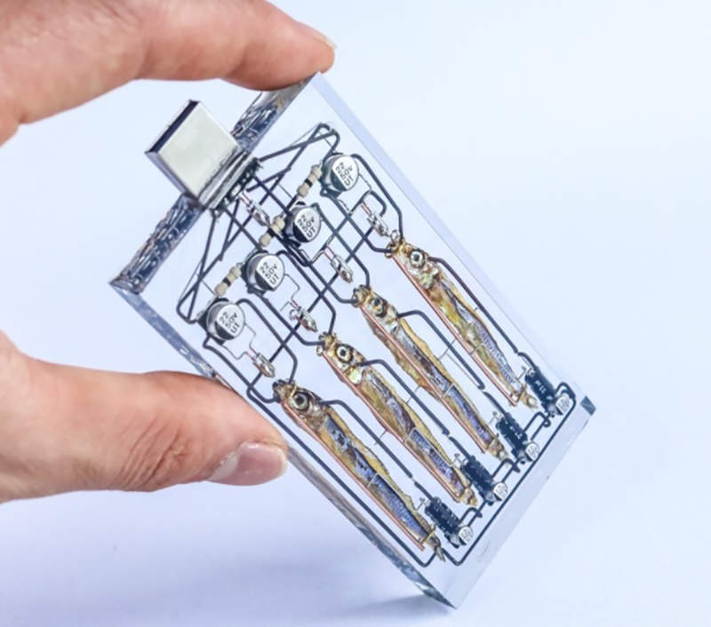 這究竟是第幾代《iPhone》？日本化學創作家一系列令人驚嘆的透明樹脂作品！ | 宅宅新聞
