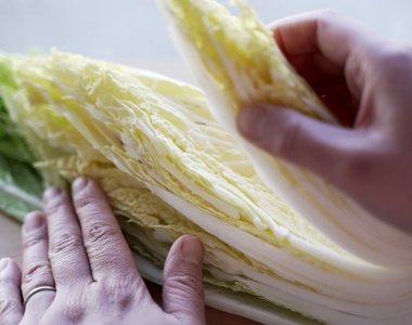 《一位白菜農的呼籲》白菜一定要由內往外吃 如此才能從頭到尾享受新鮮與美味