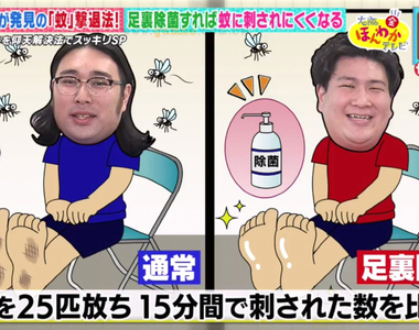 《高材生研究防蚊秘訣》容易被蚊子叮代表腳底細菌太豐富?確實殺菌就可以保護全身