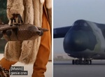 土豪快搶~《LV飛機包》要價上百萬 網友傻眼比「二手塞斯納(Cessna)飛機」還要貴 土豪快搶~《LV飛機包》要價上百萬 網友傻眼比「二手塞斯納(Cessna)飛機」還要貴