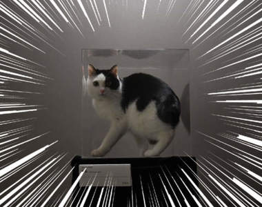 另類貓塔《貓的美術品跳台》擺在家裡就可以營造出美術館的氛圍好讚ㅇㅅㅇ