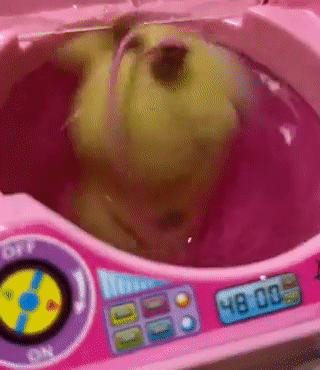 《爆紅迷你洗衣機新用法》大創百貨暢銷玩具洗衣機 如今日本網友流行拿來洗口罩 | 宅宅新聞
