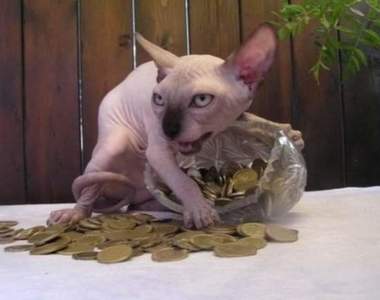 《忍住不笑GIF大挑戰》這些錢錢都是我的誰都不能跟我搶