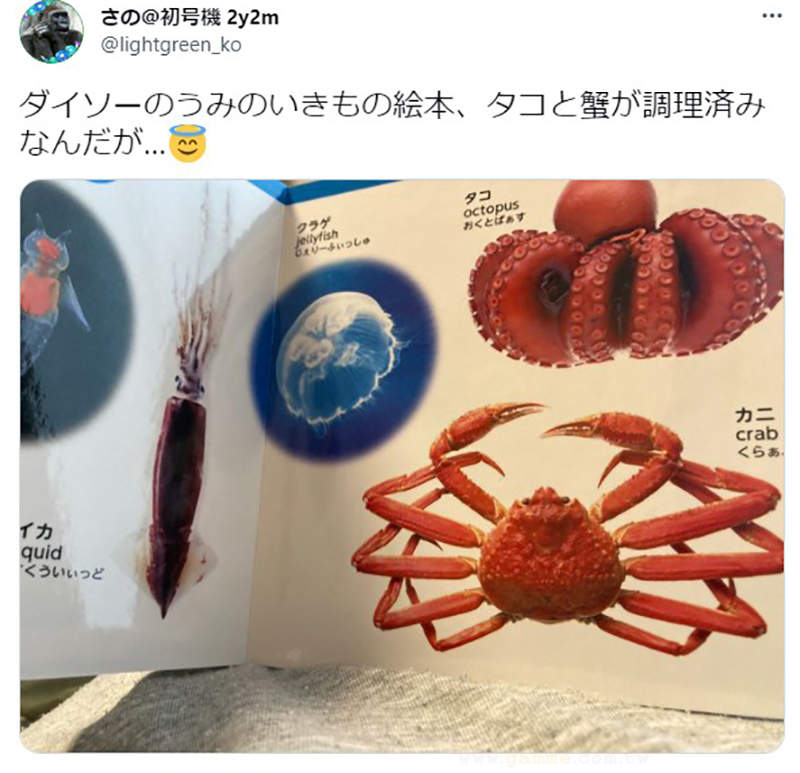 《詭異的海洋生物圖鑑》為什麼章魚和螃蟹是熟的？大創童書讓讀者滿頭問號 | 宅宅新聞