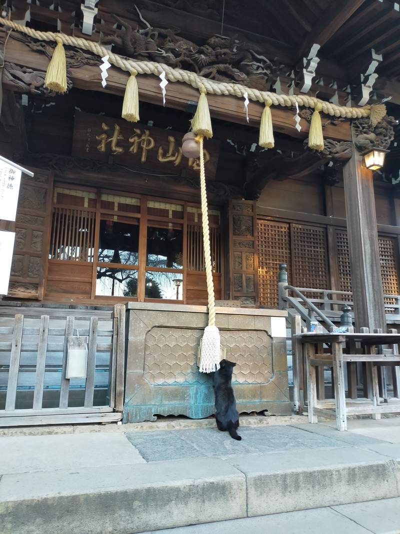 圖片2 圖片2