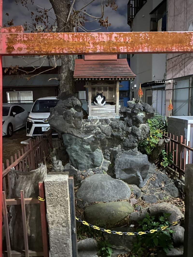圖片3 圖片3