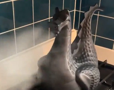 【有片】《超狂神龍加濕器》放在爐上加熱的畫面，不禁懷疑我到底買了什麼東西ww