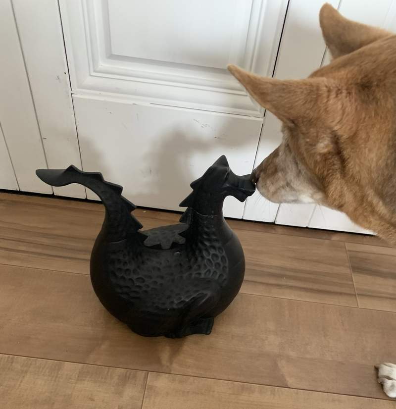 圖片2 圖片2