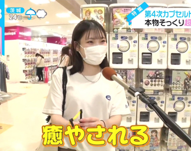 《第４次轉蛋玩具熱潮》超大型專賣店一間接著一間開 大人最愛怪異系和真實系玩具