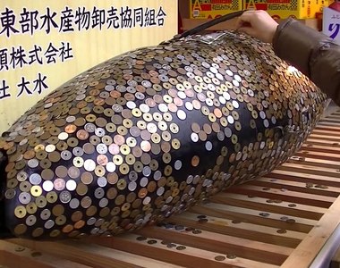 《香油錢貼鮪魚奇祭》今年不讓大家「摸魚」了 西宮神社十日戎祭典專心顧防疫