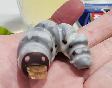 驚悚系甜點《幼蟲巧克力》讓人忍不住頭皮麻,你吃的下去嗎?