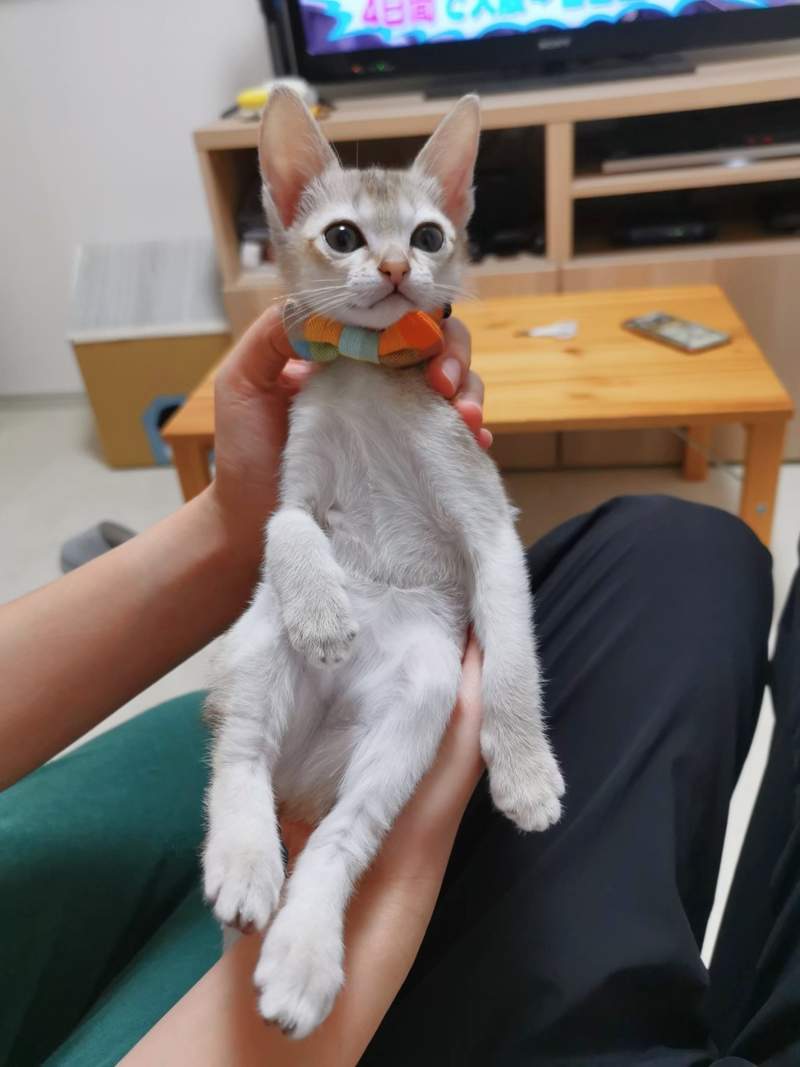 圖片2 圖片2