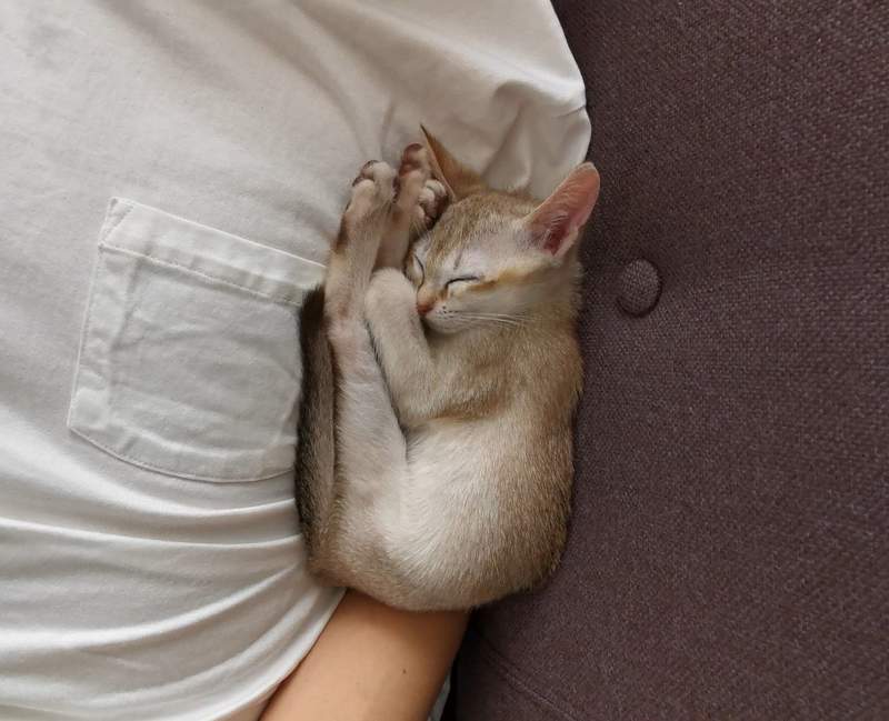 圖片3 圖片3