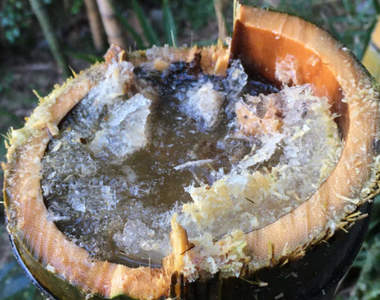 《竹子湧現甜酒冰沙》大自然中生成的天然酒桶,稀有現象引發推特瘋傳...