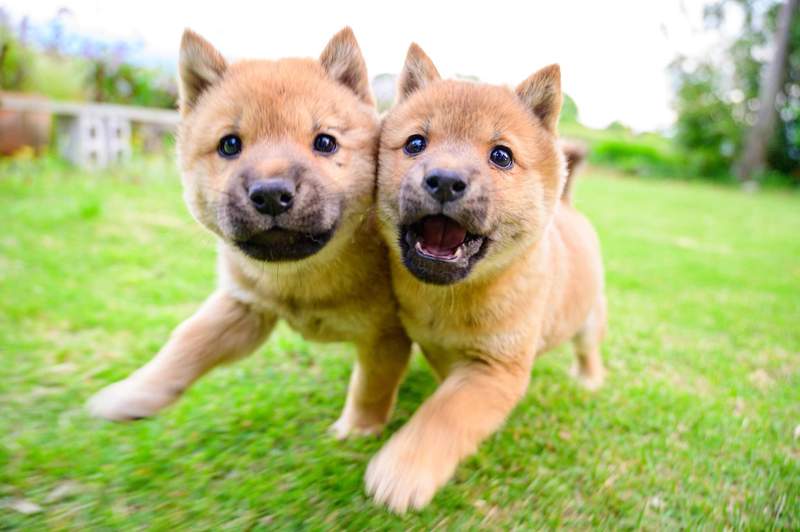 圖片2 圖片2