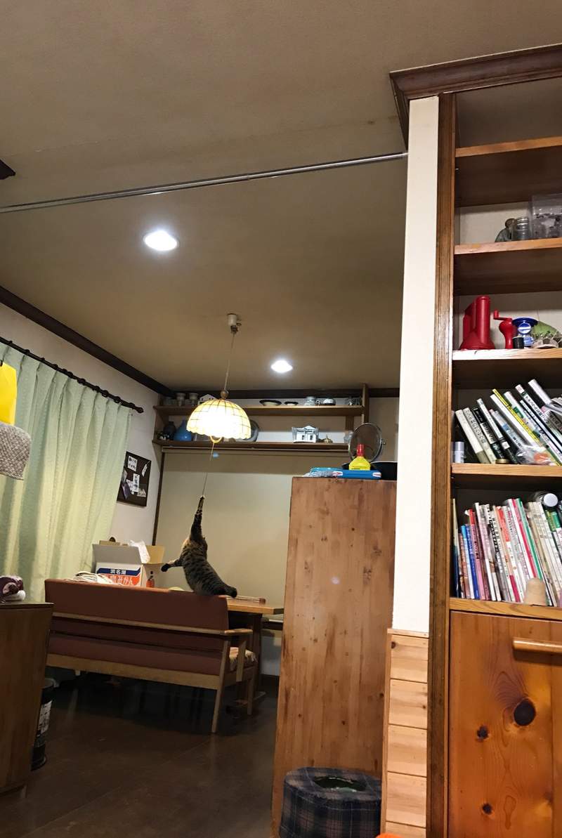 圖片16 《你竟然能拍到這種東西大賽》超美絕景到爆笑畫面,推民大曬深埋在相簿裡的奇蹟瞬間... | 宅宅新聞
