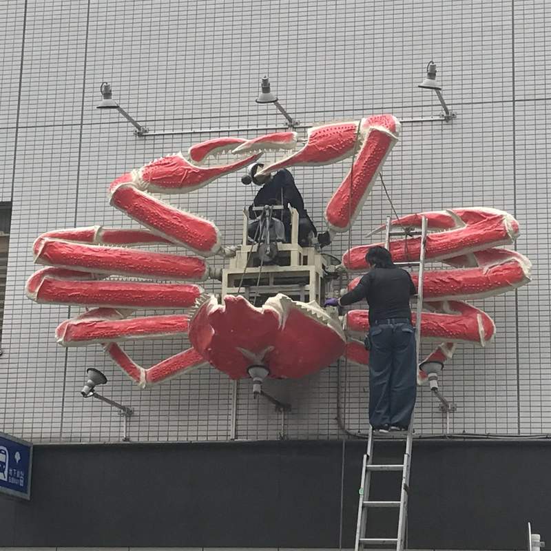 圖片14 《你竟然能拍到這種東西大賽》超美絕景到爆笑畫面,推民大曬深埋在相簿裡的奇蹟瞬間... | 宅宅新聞