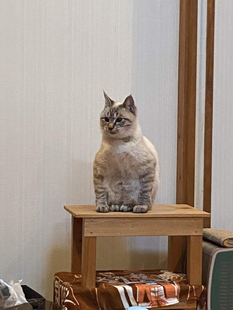 圖片2 圖片2