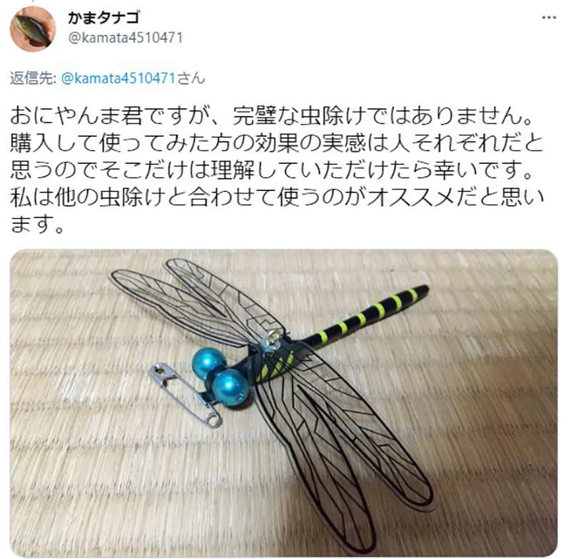 《推特話題神奇蜻蜓飾品》只要別在身上就可以驅蟲？恐怖外貌說不定連人都嚇跑 | 宅宅新聞