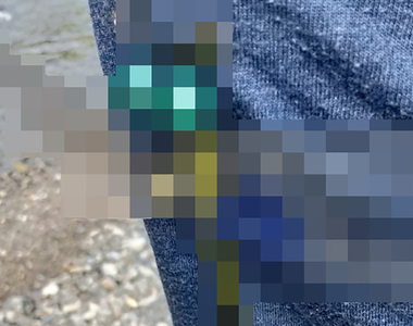 《推特話題神奇蜻蜓飾品》只要別在身上就可以驅蟲?恐怖外貌說不定連人都嚇跑