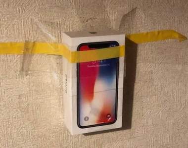 《用哀鳳手機盒封印兩年的小強》結果如何引起網友討論，是死在裡面還是已經挖洞逃竄了呢？